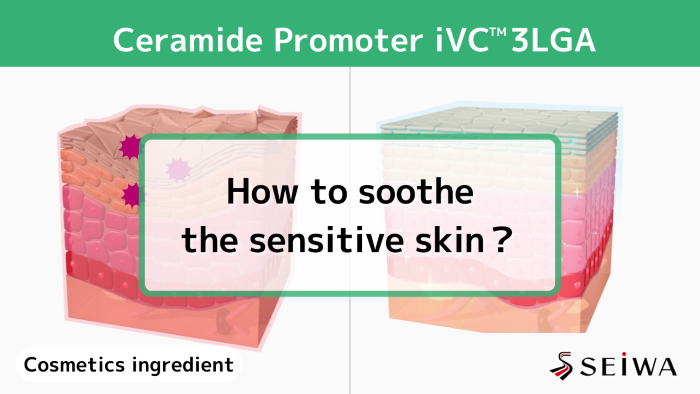 Vitamin C derivative – iVC 3LGA’s skin barrier improvement effect