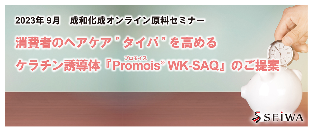 消費者のヘアケア”タイパ”を高めるケラチン誘導体「Promois WK-SAQ」