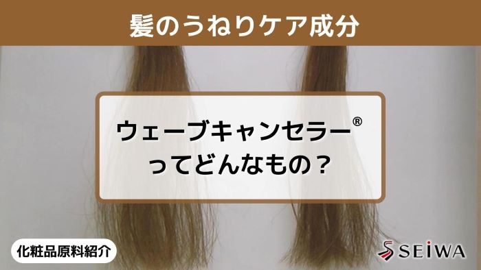【化粧品原料講座】「Promois（プロモイス） WK-SAQ」の髪のうねり改善
