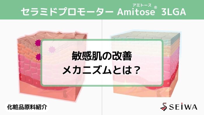 【化粧品原料講座】敏感肌を改善するビタミンC誘導体「Amitose（アミトース） 3LGA」