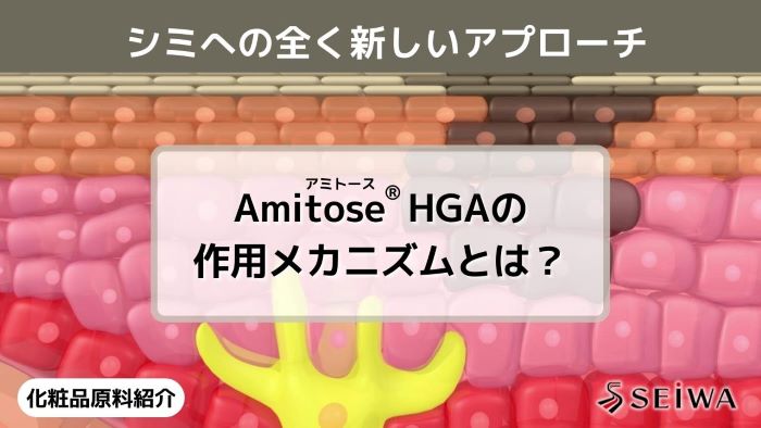 【化粧品原料講座】新しいメカニズムでシミにアプローチする成分「Amitose(アミトース) HGA」