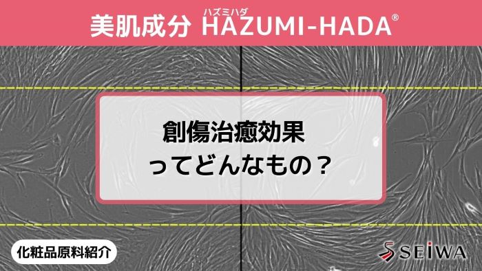 【化粧品原料講座】「HAZUMI-HADA（はずみ肌）」による線維芽細胞活性化