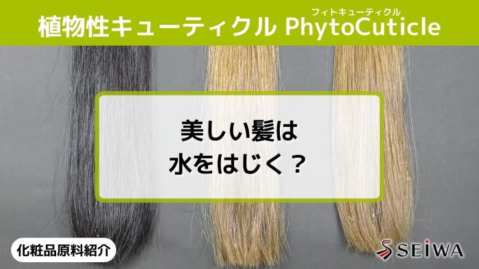 【化粧品原料講座】PhytoCuticle（フィトキューティクル）毛髪表面疎水化効果