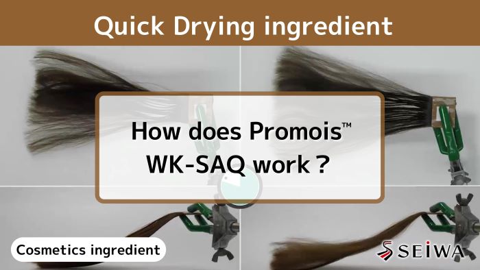 【Cosmetic ingredients explained】Quick dry effect for hair with Promois WK-SAQ