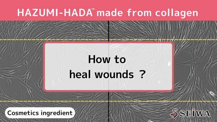 Anti-aging collagen – Activation of fibroblasts with HAZUMI-HADA