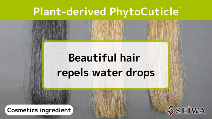 PhytoCuticle restores the hair barrier and shows water repellency