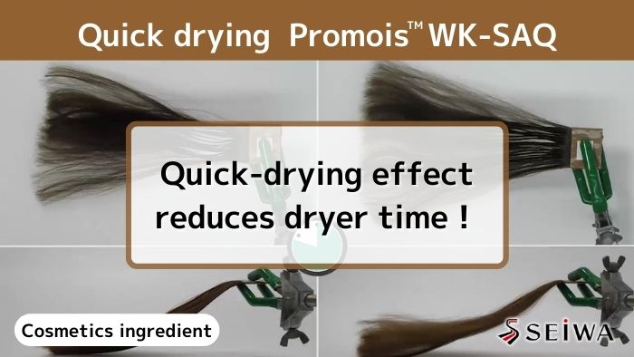 【Cosmetic ingredients explained】Quick dry effect for hair with Promois WK-SAQ