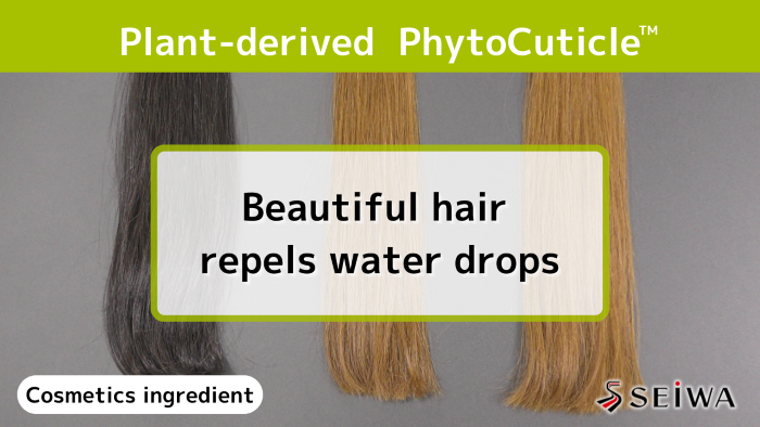 PhytoCuticle restores the hair barrier and shows water repellency