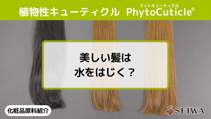 【化粧品原料講座】PhytoCuticle（フィトキューティクル）毛髪表面疎水化効果